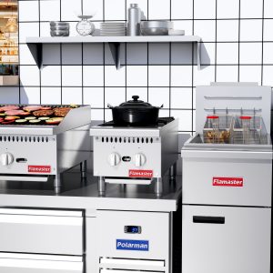 Flamaster FLM-HP12-M 12″ Countertop Gas Hot Plate, NG/LPG, 50,000 BTU, 2 Burners