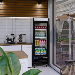 Polarman PLM-HGD16F 25″ Black Single Swing Glass Door Merchandiser Freezer with LED Lighting, 16 cu.ft