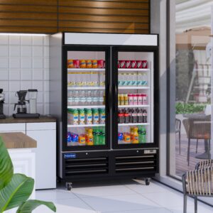 Polarman PLM-HGD48F 53 15/16″ Black Double Swing Glass Door Merchandiser Freezer with LED Lighting, 48 cu.ft