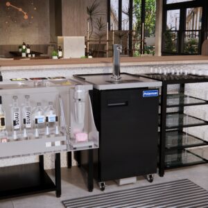 Polarman PLM-BCBD1 24 1/8″ Single Tap Kegerator Beer Dispenser with 2 Solid Doors, 8.1 cu. ft.